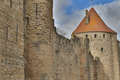 Cite de Carcassonne n151