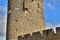 Cite de Carcassonne n154