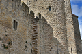 Cite de Carcassonne n159