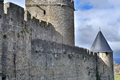 Cite de Carcassonne n164
