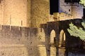 Cite de Carcassonne n170
